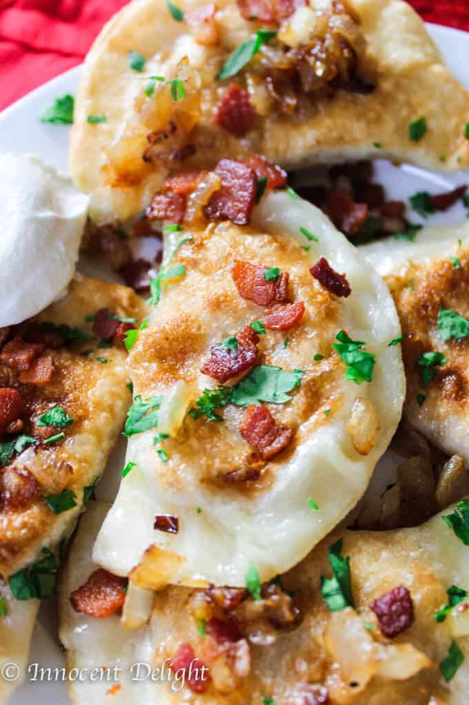 authentic polish pierogi with potatoes and cheese