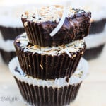 3 ingredients chocolate coconut fudge