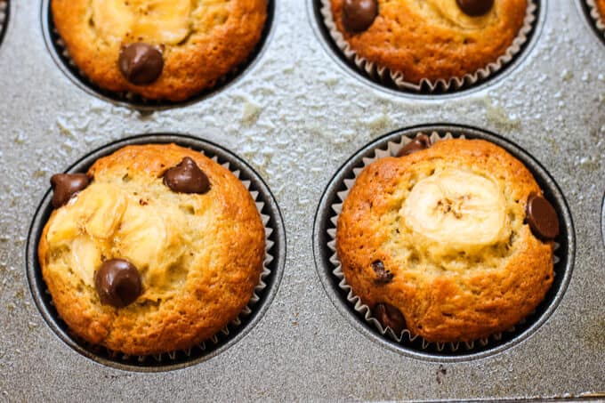 Banana Chocolate Chip Muffins