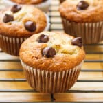Banana Chocolate Chip Muffins