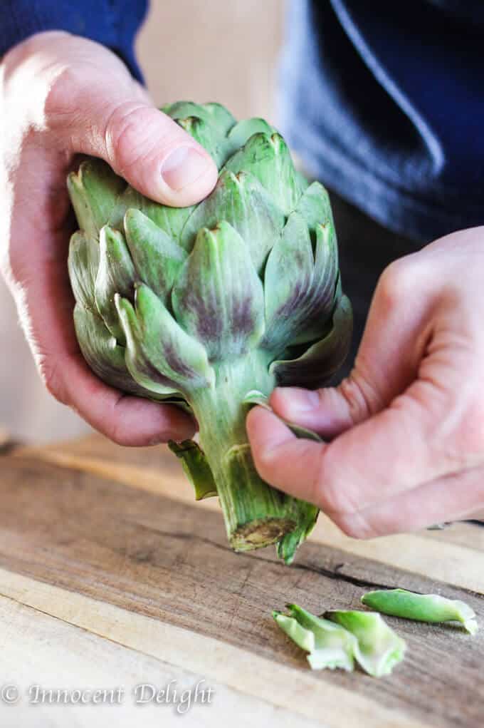 Perfectly trimmed and steamed Artichokes