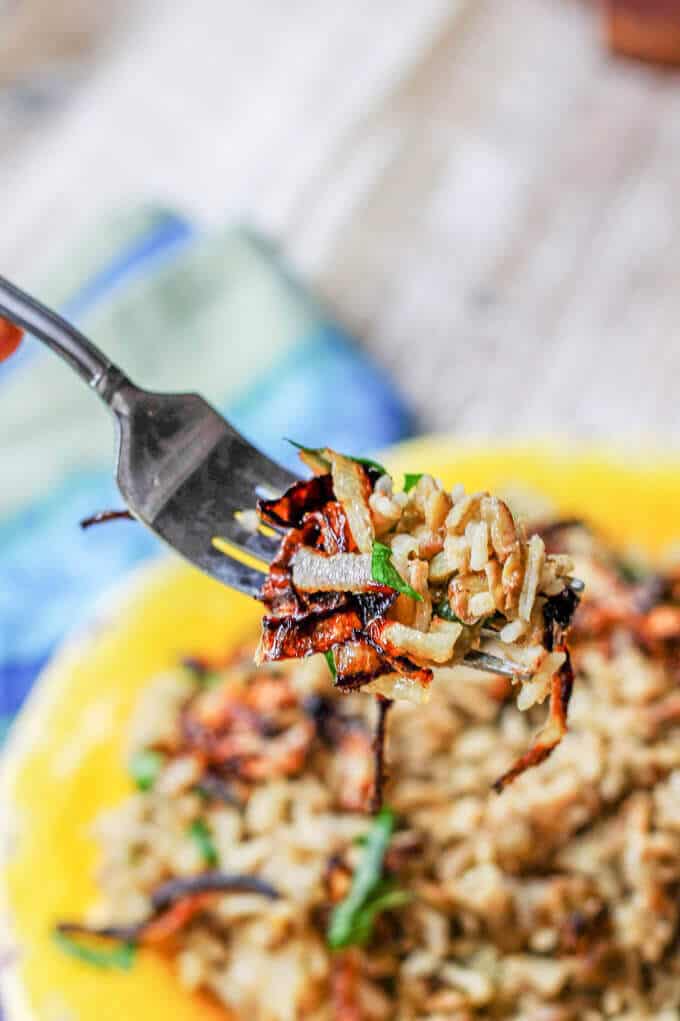 Mujadara (lentils and rice with fried onions) on a fork