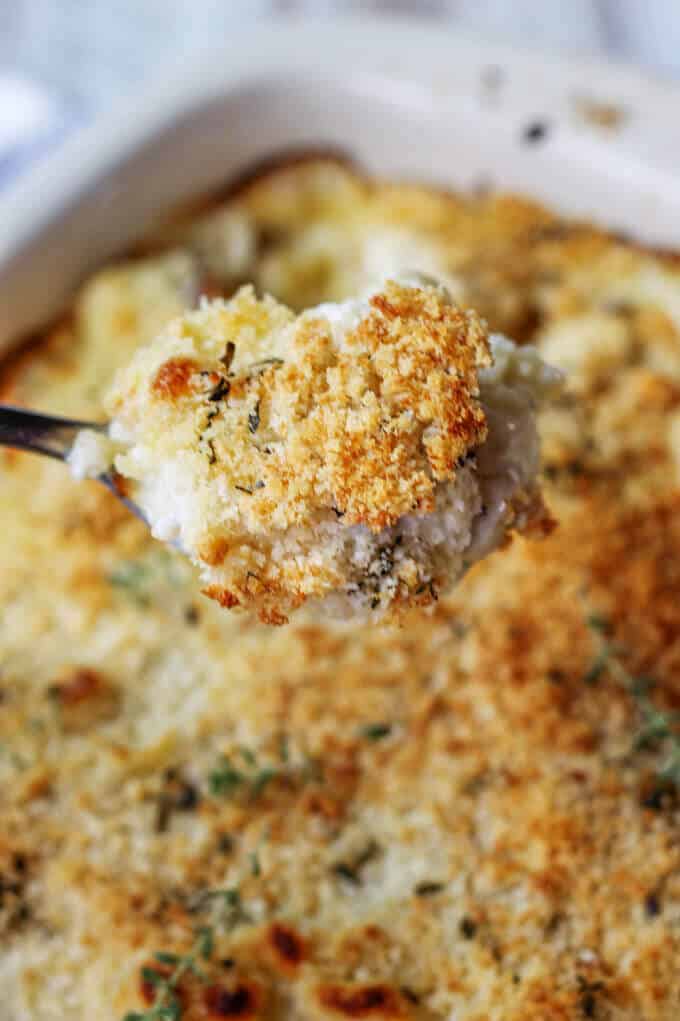 Cauliflower Pasta Bake with Brie and Fontina is like a combination of a fancy mac & cheese with veggies! Two dishes at ones. Spoonful of Cauliflower Pasta Bake with Brie and Fontina
