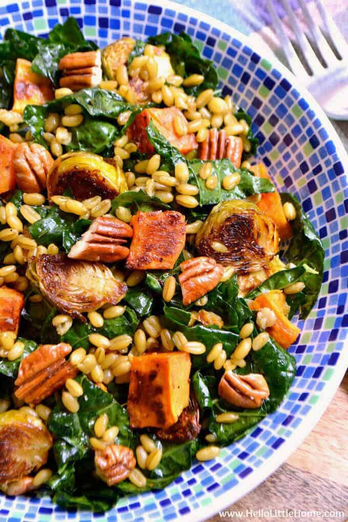 Whether it's a New Year resolution or perhaps a long-term desire to eat healthy, this compilation of 35 Amazing Detox Salads will definitely help you stay on track Amazing Detox Salads