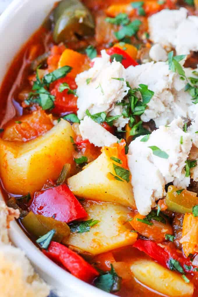Spanish style tuna stew with potatoes and peppers, close up shot
