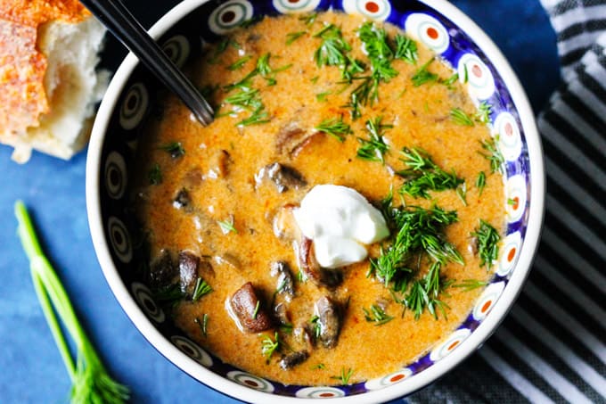 Hungarian Soup with mushrooms and dill in a bowl