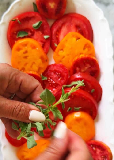 Fresh oregano placed on the heirloom tomato salad