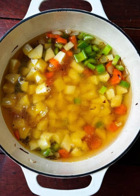 Broth and vegetables in the pot