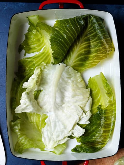Outer cabbage leaves placed in the bottom of a baking dish