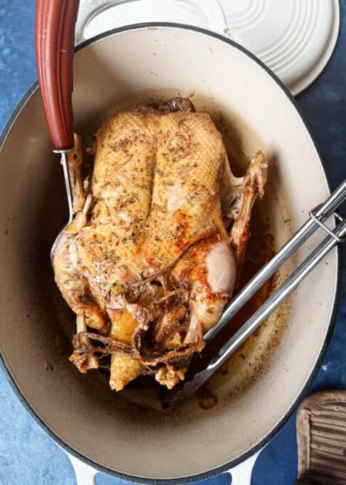 Duck being flipped over